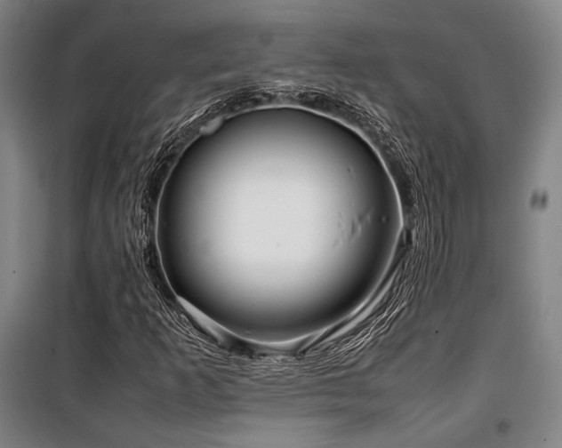 X0000100381253200806061210