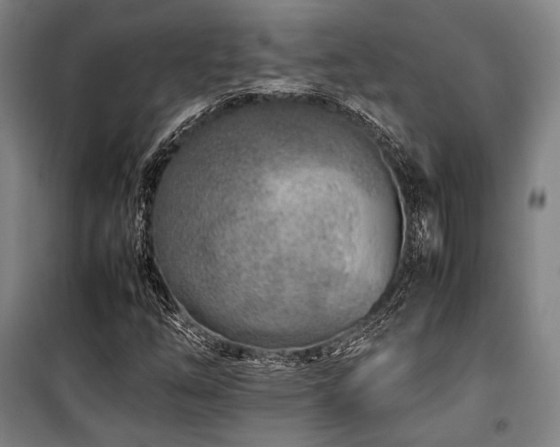 X0000100381254200806061210