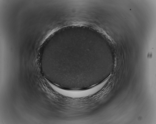 X0000100381256200806061210
