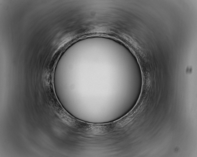 X0000100381258200806061210
