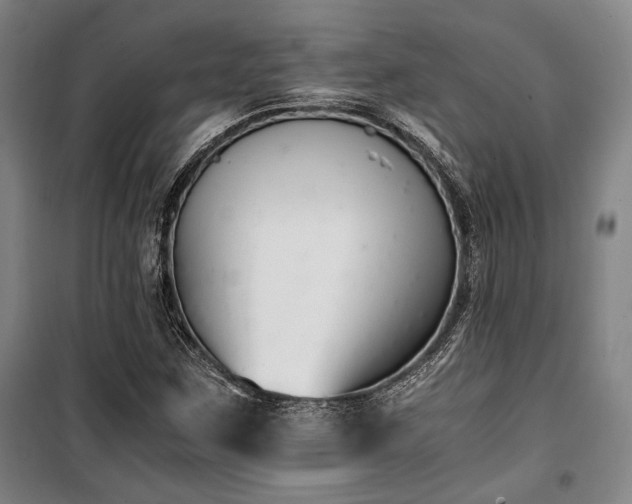 X0000100381259200806061210