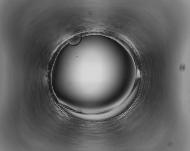 X0000100381260200806061210