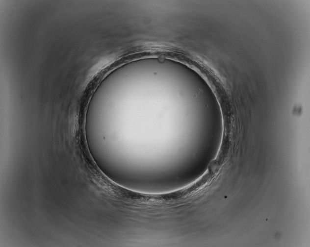 X0000100381261200806061210