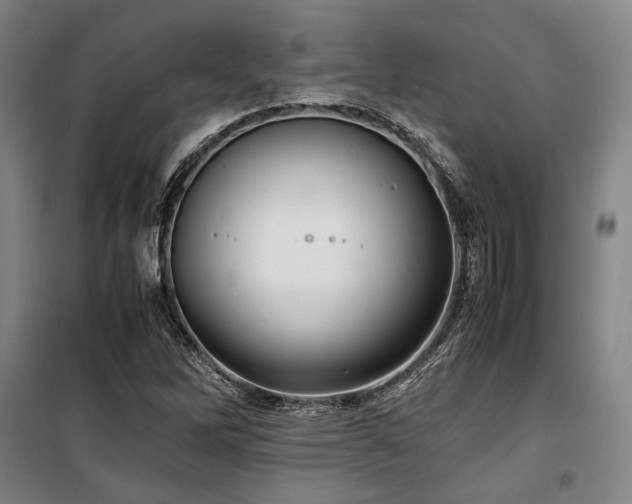 X0000100381262200806061210