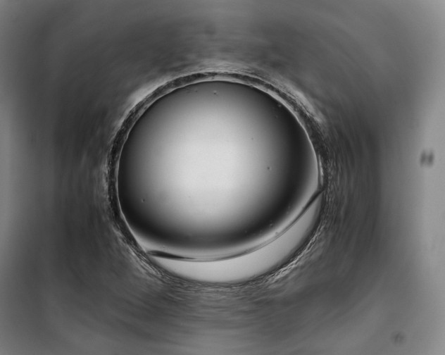 X0000100381264200806061210
