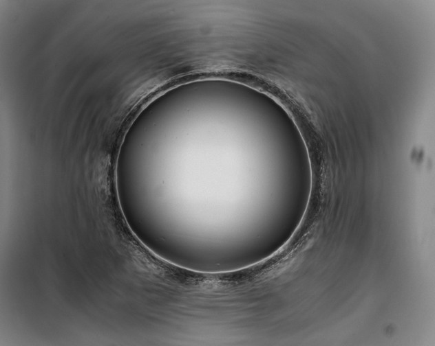 X0000100381265200806061210