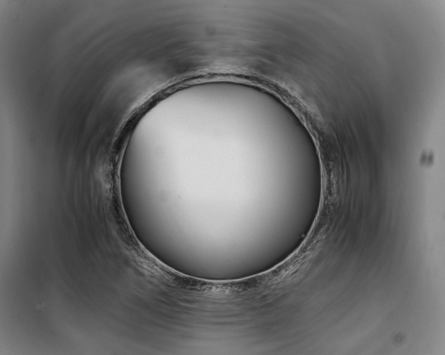 X0000100381266200806061210