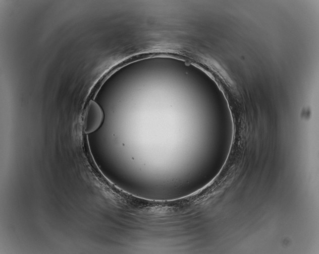X0000100381268200806061210