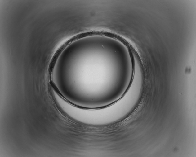 X0000100381271200806061210