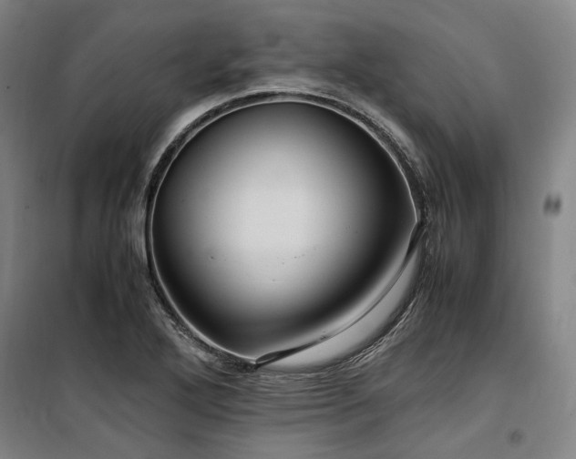 X0000100381272200806061210