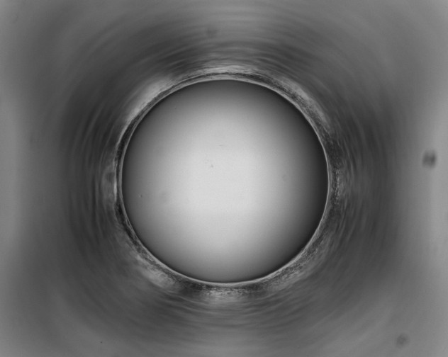 X0000100381274200806061210