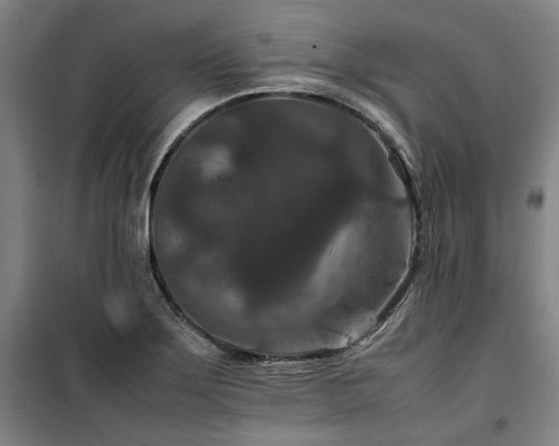 X0000100381275200806061210