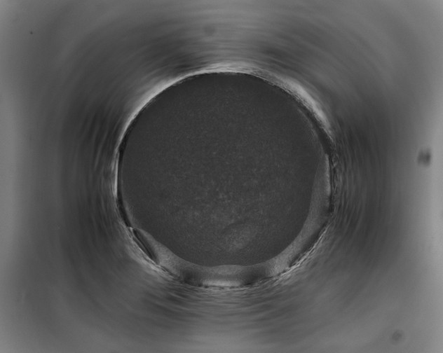 X0000100381276200806061210
