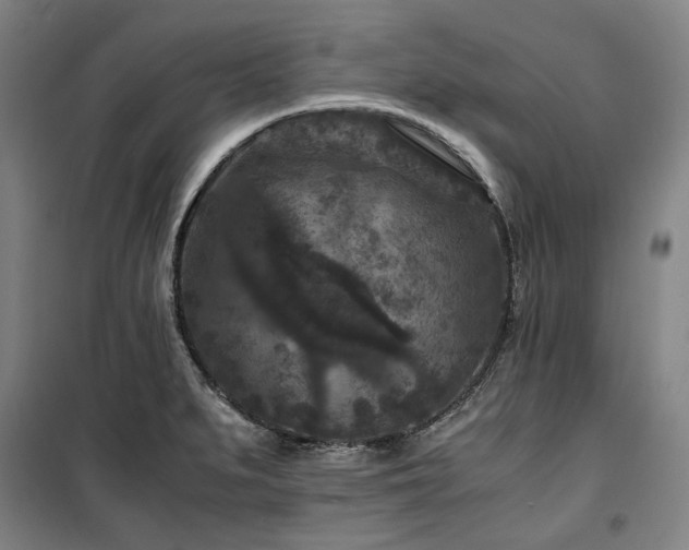 X0000100381279200806061210