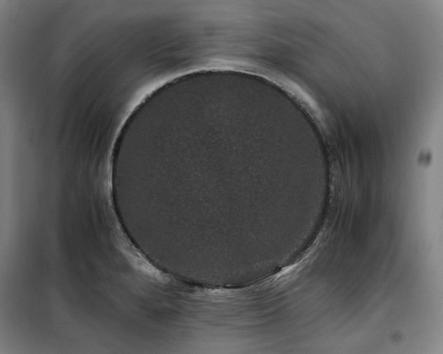 X0000100381280200806061210