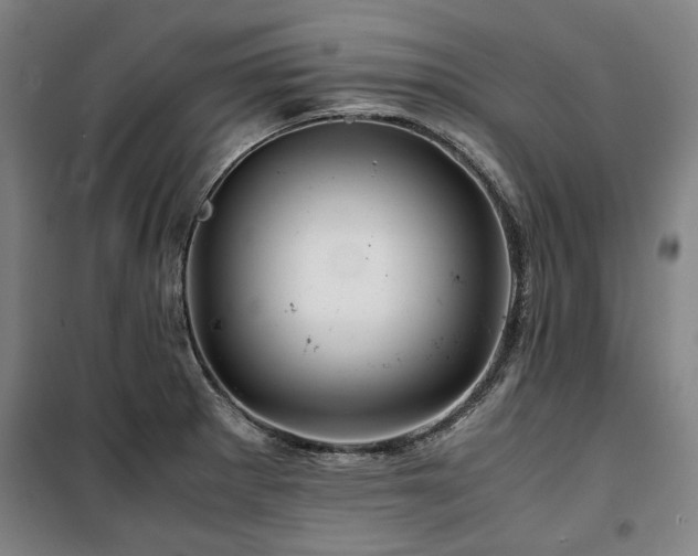 X0000100381281200806061210