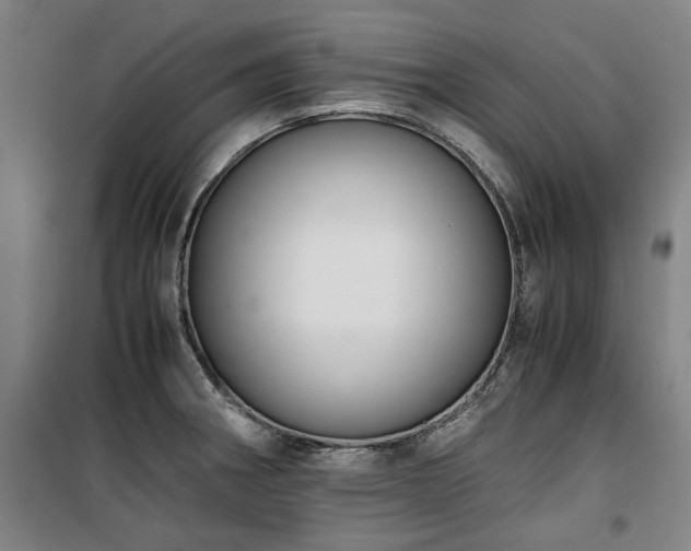 X0000100381282200806061210