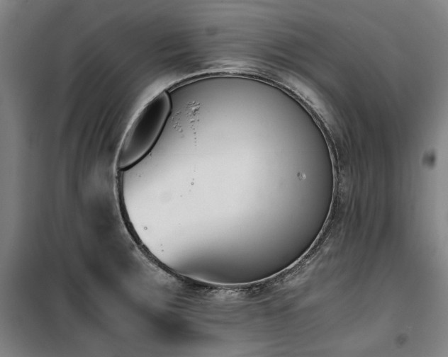 X0000100381283200806061210