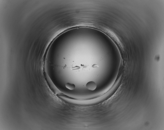 X0000100381284200806061210
