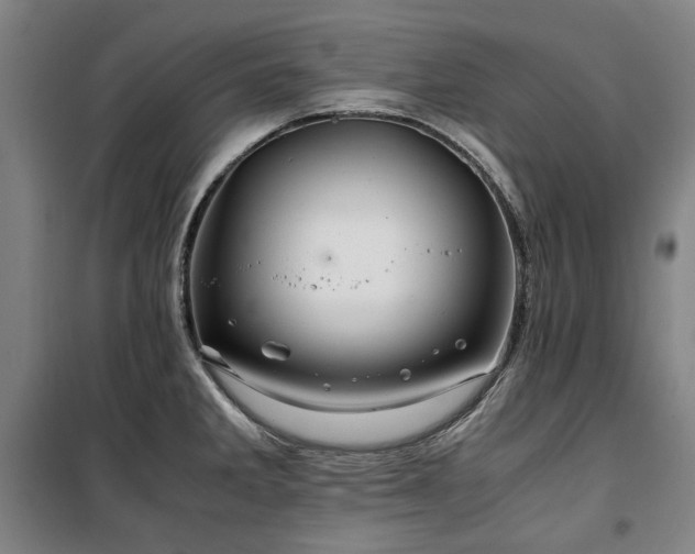 X0000100381285200806061210