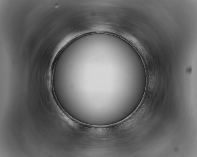 X0000100381286200806061210