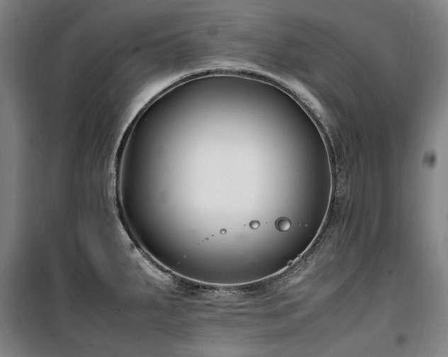 X0000100381287200806061210
