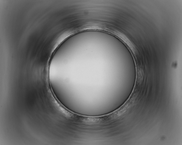 X0000100381290200806061210