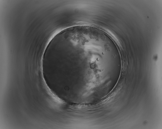 X0000100381291200806061210