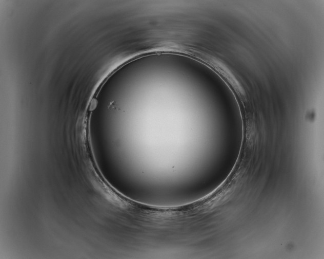 X0000100381292200806061210