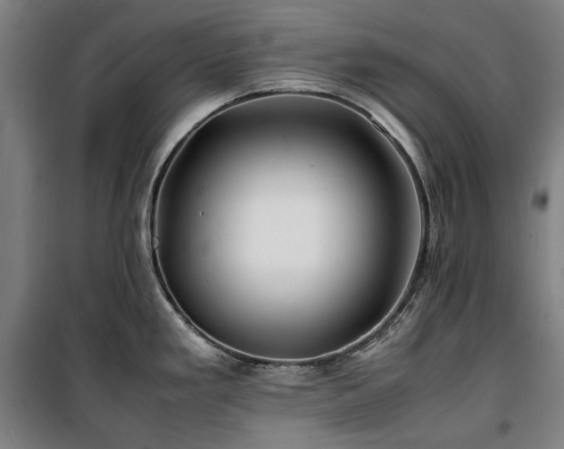 X0000100381293200806061210