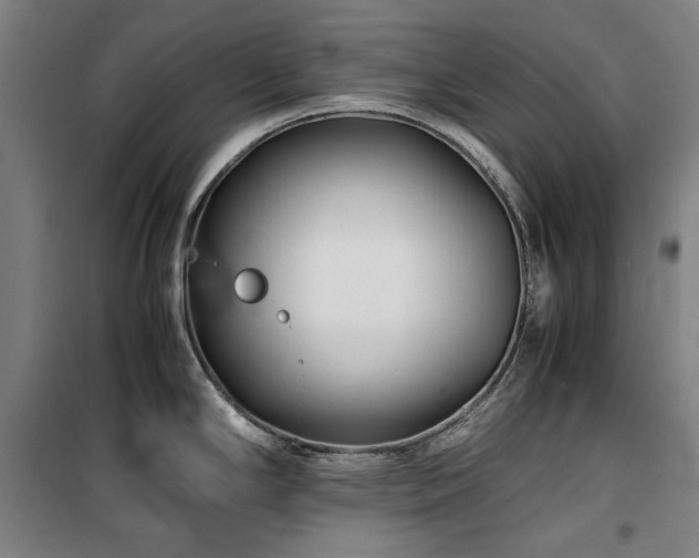 X0000100381294200806061210