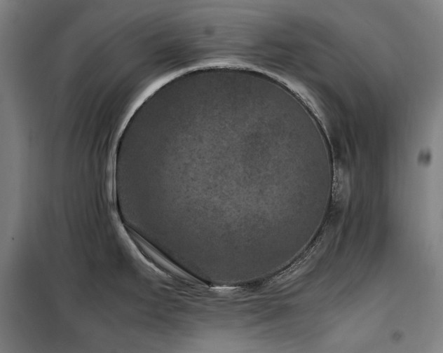 X0000100381295200806061210