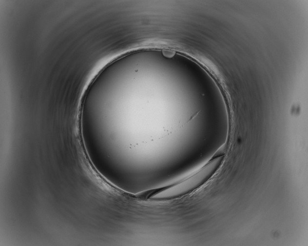 X0000100381296200806061210