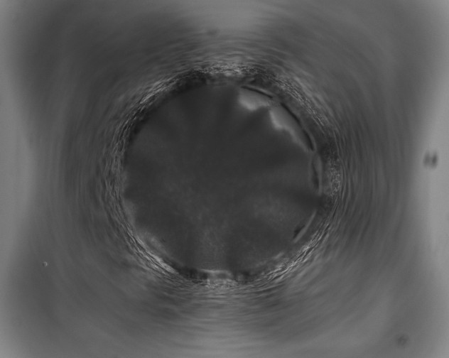 X0000100381297200806061209