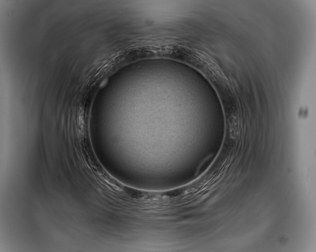 X0000100381298200806061209
