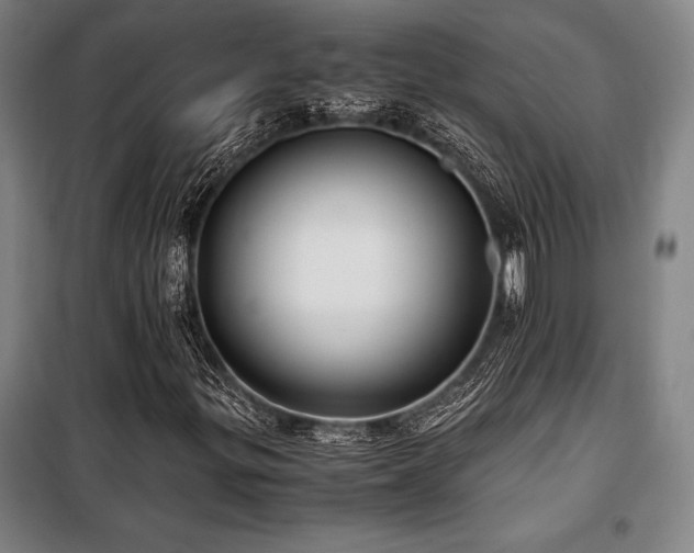 X0000100381299200806061209