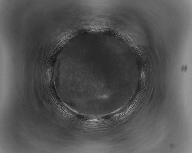 X0000100381300200806061209