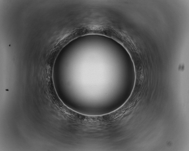 X0000100381301200806061209