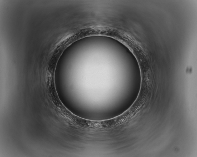 X0000100381302200806061209