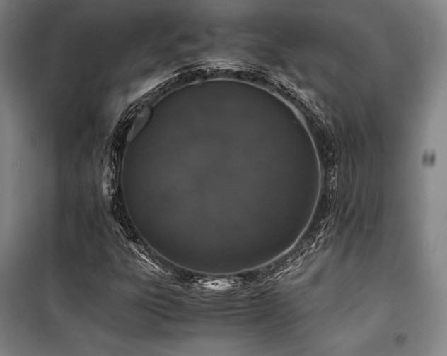 X0000100381303200806061209