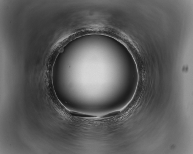 X0000100381304200806061209