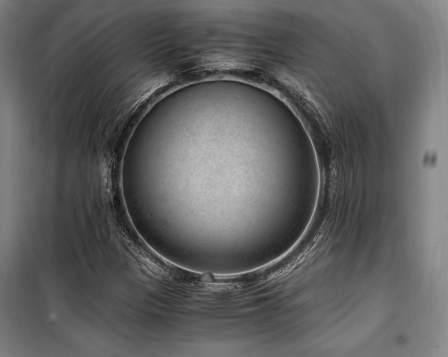 X0000100381305200806061209
