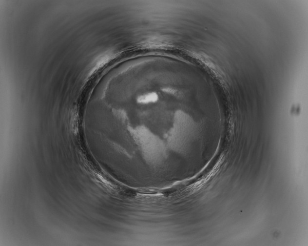 X0000100381306200806061209