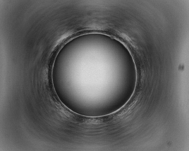 X0000100381307200806061209