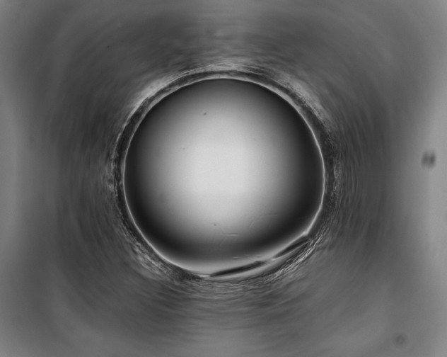 X0000100381308200806061209