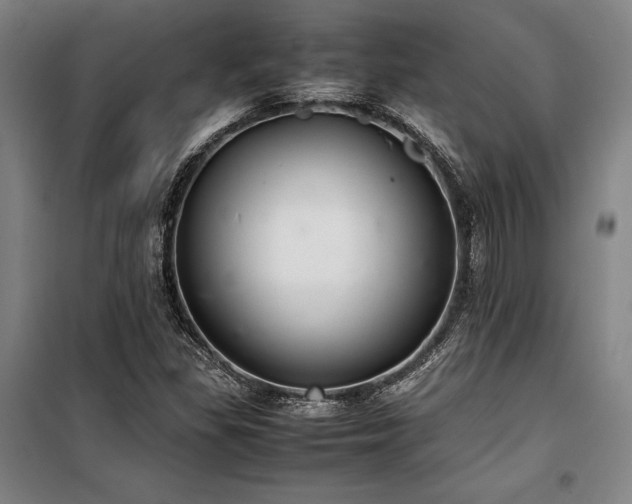 X0000100381309200806061209
