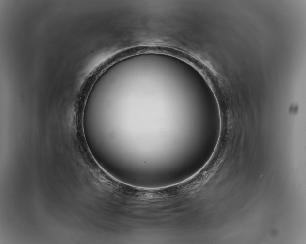 X0000100381311200806061209
