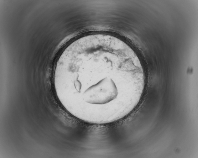 X0000100381314200806061209