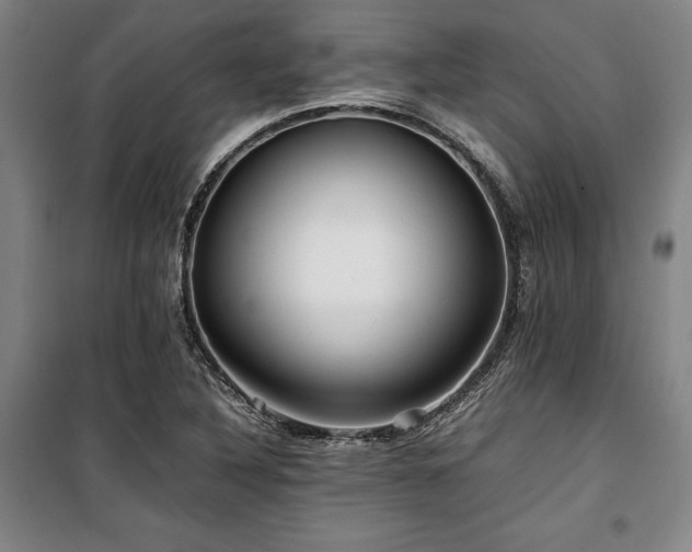 X0000100381316200806061209