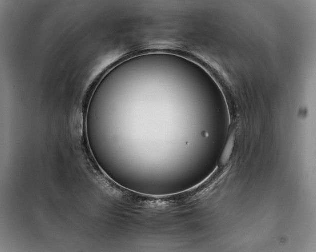 X0000100381317200806061209